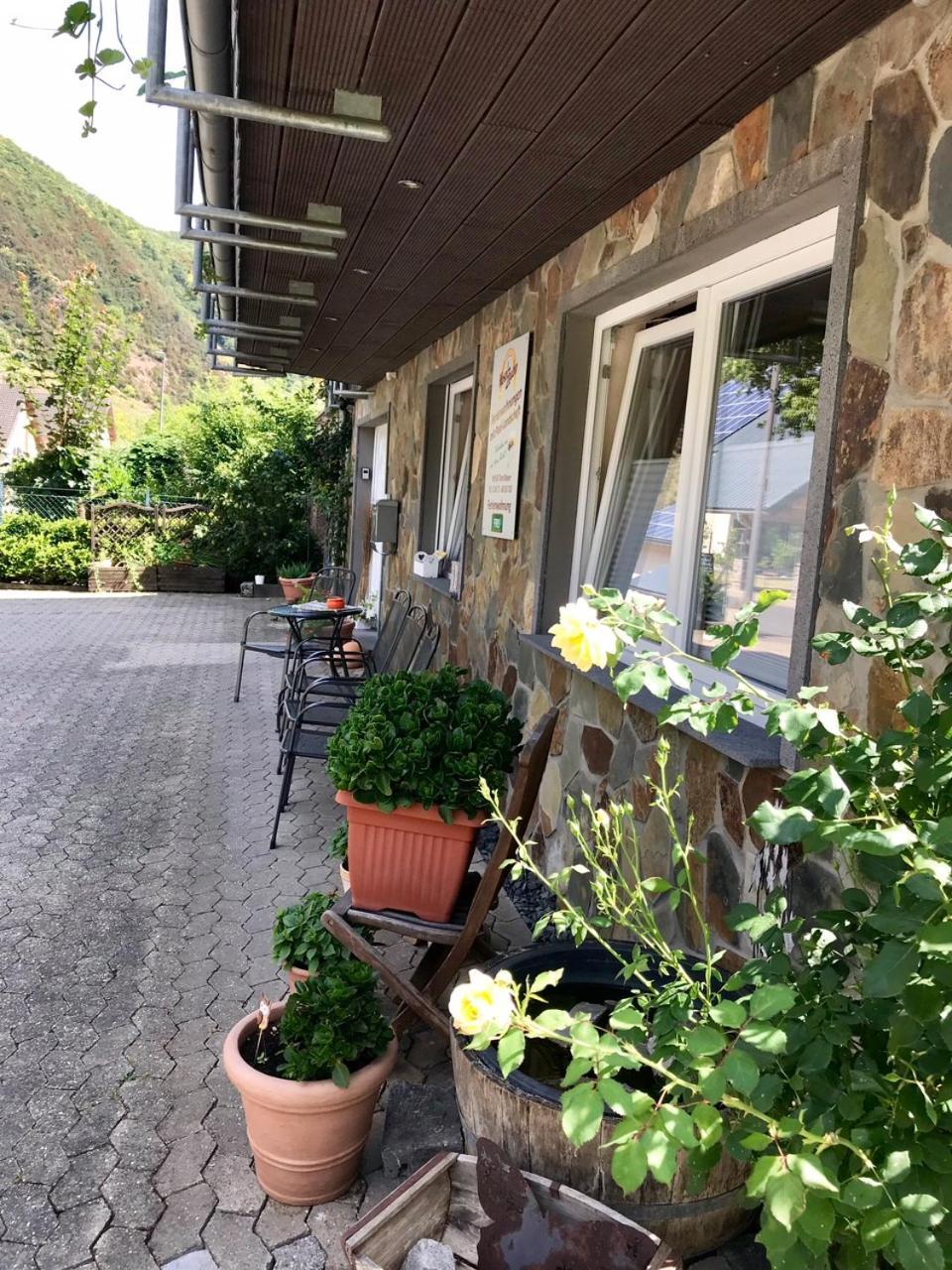 Residenz Moselzauber - Ferienwohnungen Mit Pool Landschaft Ernst Exterior photo